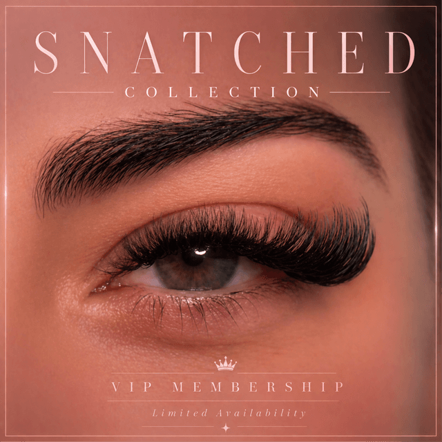 VIP Membership at Snatched Beauty in Dallas, TX